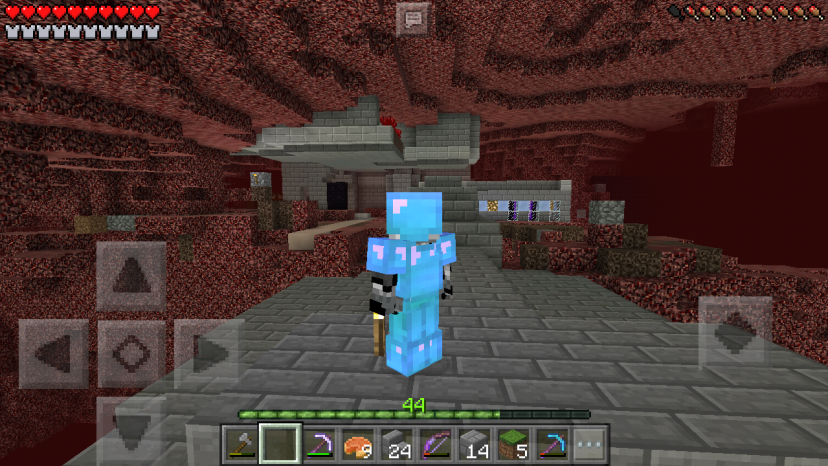 Nether hub